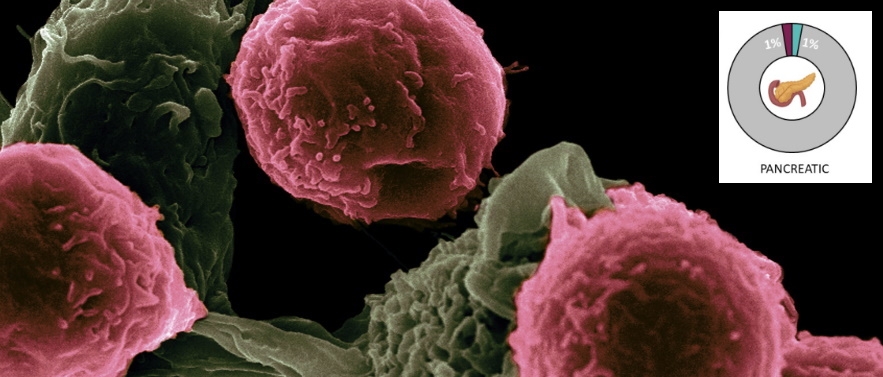 Pic: National Cancer Institute, Unsplash