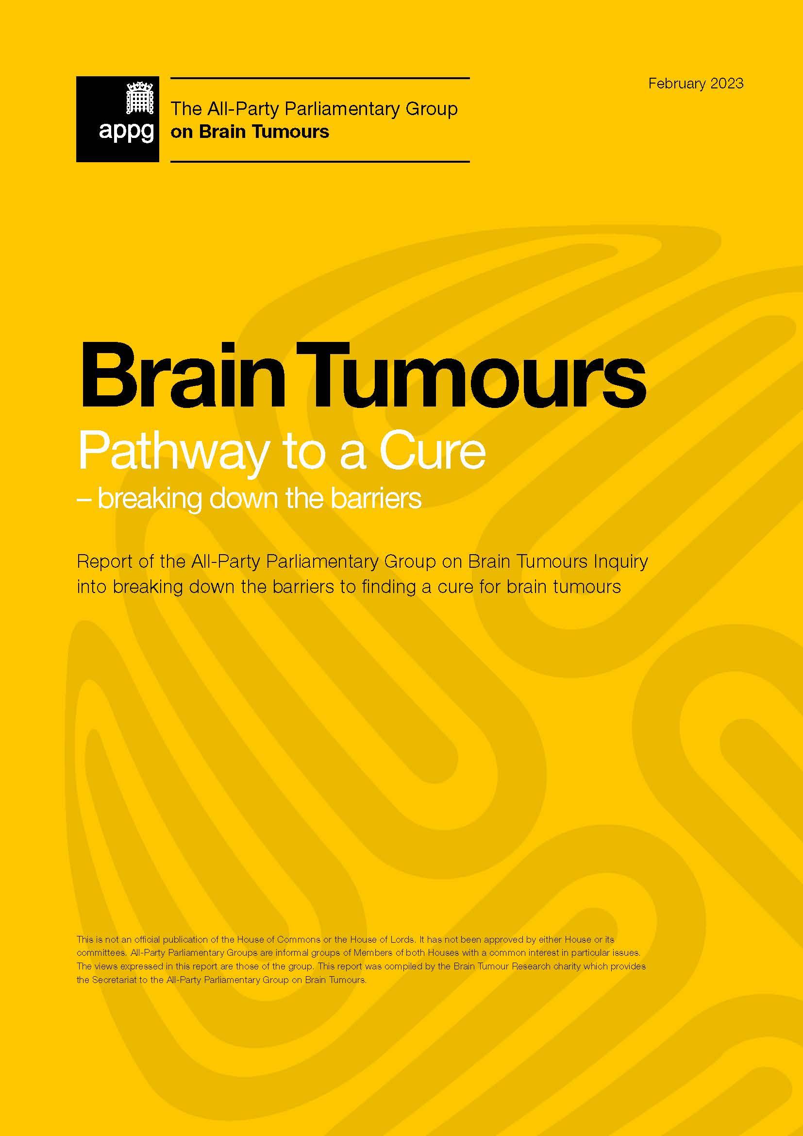 Cover of APPGBT report  