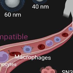 Read more at: New paper published in Royal Society of Chemistry’s Nanoscale highlights promise of nanocarriers for drug delivery